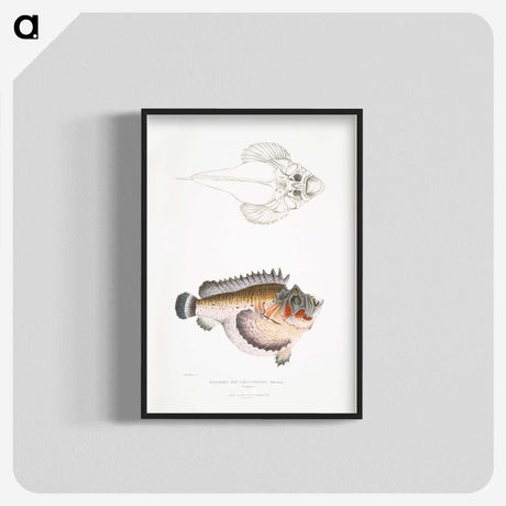 2-6_Indian-Zoology_blk-crop
