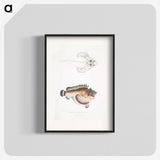 2-6_Indian-Zoology_blk