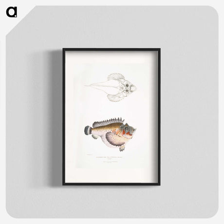 2-6_Indian-Zoology_blk
