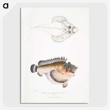 2-6_Indian-Zoology_picture-crop