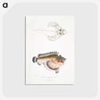 2-6_Indian-Zoology_postcard