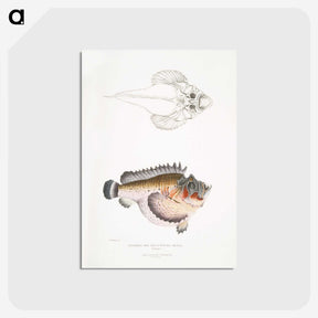2-6_Indian-Zoology_postcard