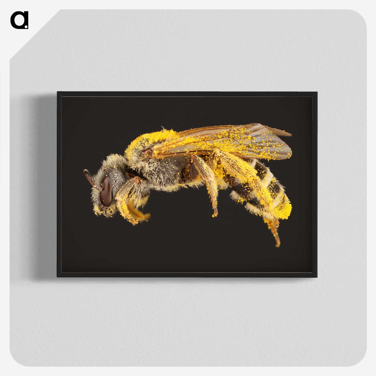 2-6_Insects-Unlocked-Project_blk-crop