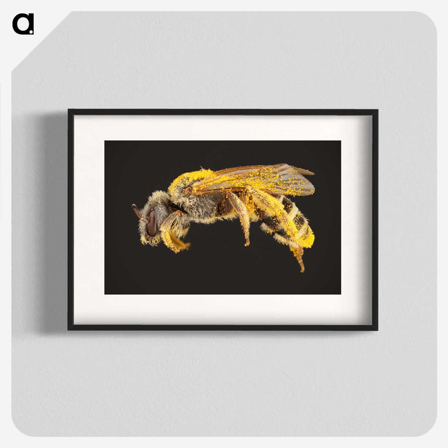 2-6_Insects-Unlocked-Project_blk