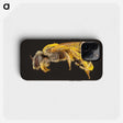 2-6_Insects-Unlocked-Project_phone