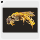 2-6_Insects-Unlocked-Project_picture-crop