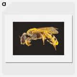 2-6_Insects-Unlocked-Project_picture