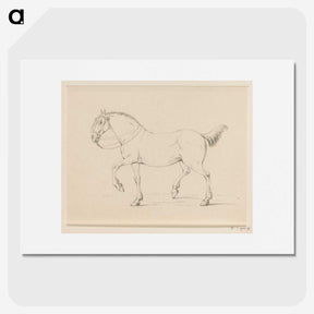 2-6_Jean-Bernard_picture