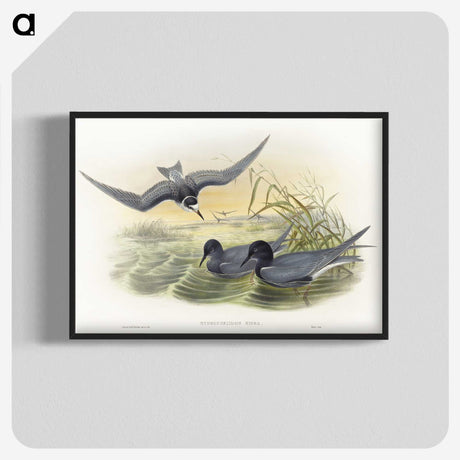 2-6_John-Gould_blk-crop