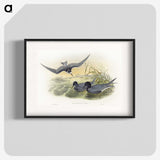 2-6_John-Gould_blk