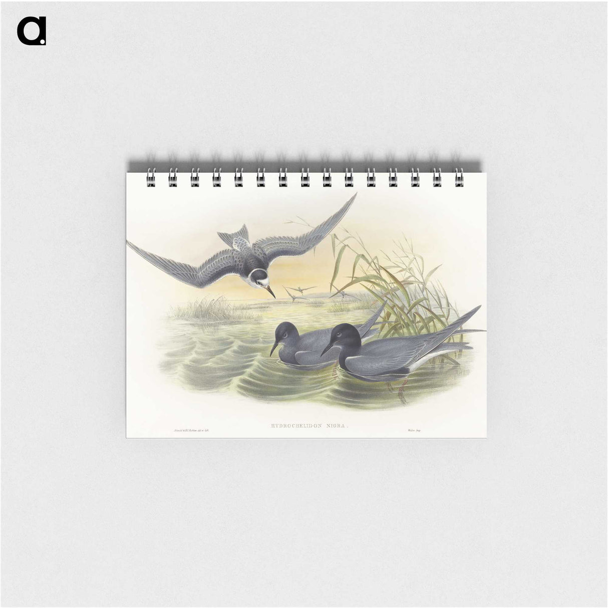 2-6_John-Gould_memo