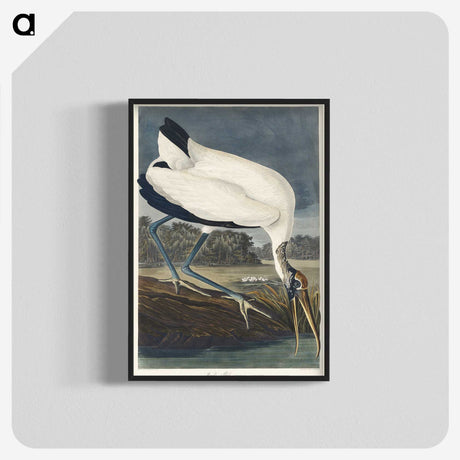 2-6_John-James-Audubon_blk-crop