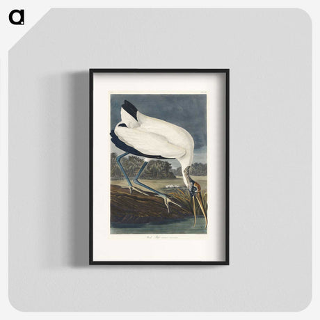 2-6_John-James-Audubon_blk