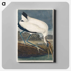 アートパネル-Wood Ibis
 - ジョン ジェームス オーデュボン Canvas.