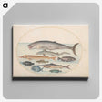 2-6_Joris-Hoefnagel_canvas