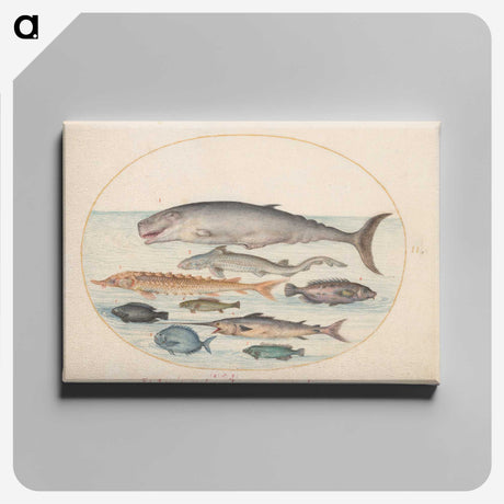 2-6_Joris-Hoefnagel_canvas