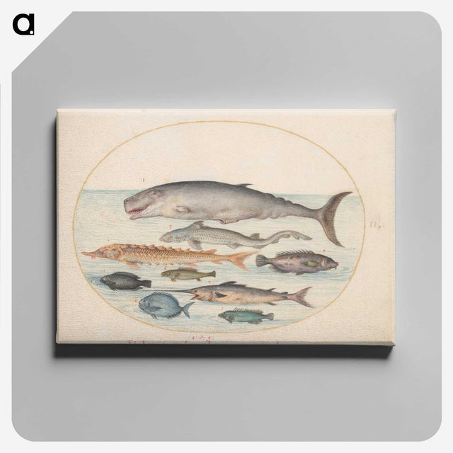 2-6_Joris-Hoefnagel_canvas