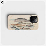 2-6_Joris-Hoefnagel_phone