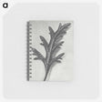 2-6_Karl-Blossfeldt_memo