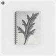 アートメモ帳-Verbena Canadensis - カール ブロスフェルト Memo.