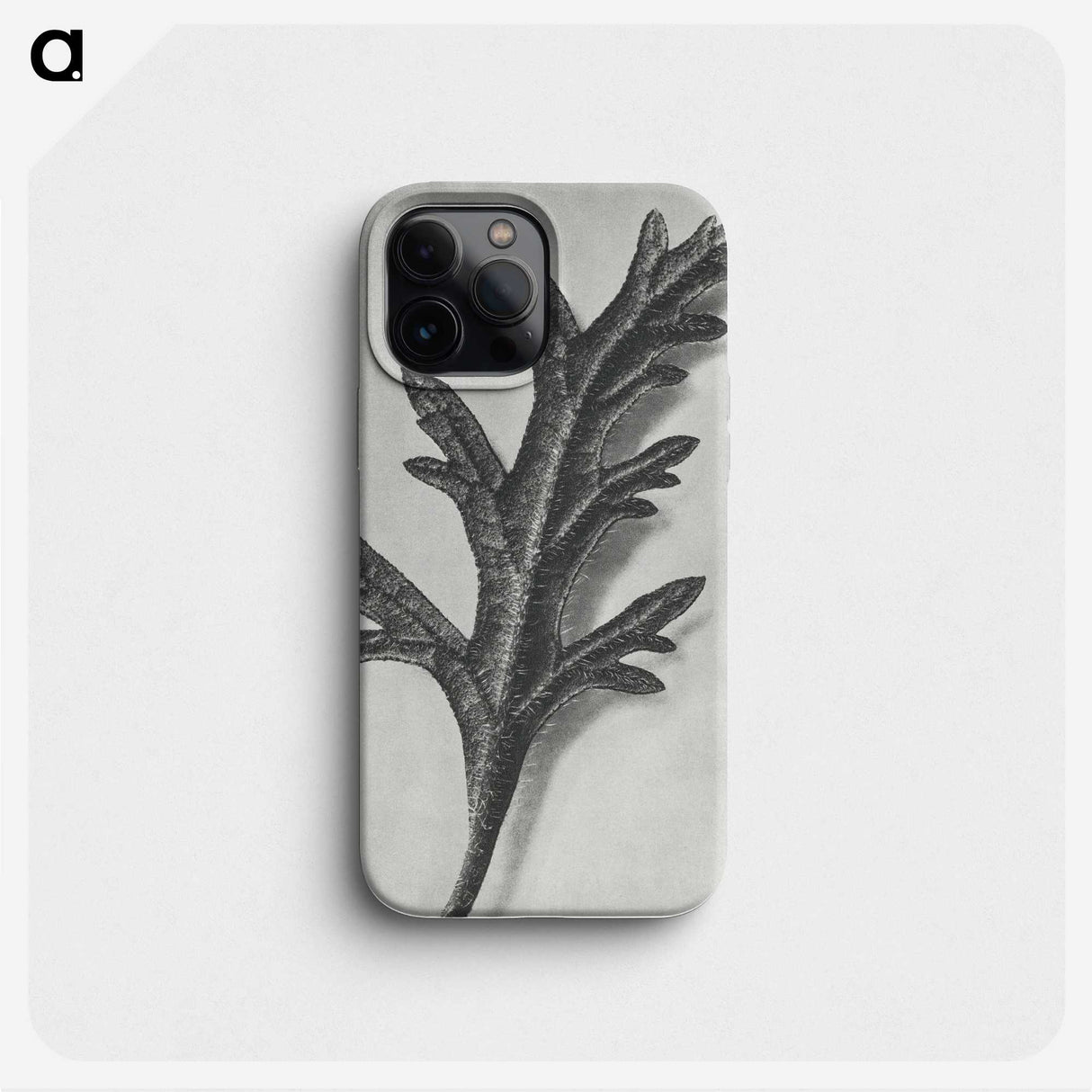 2-6_Karl-Blossfeldt_phone
