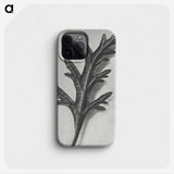 2-6_Karl-Blossfeldt_phone