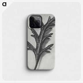 2-6_Karl-Blossfeldt_phone