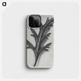 Verbena Canadensis - Karl Blossfeldt Phone Case.