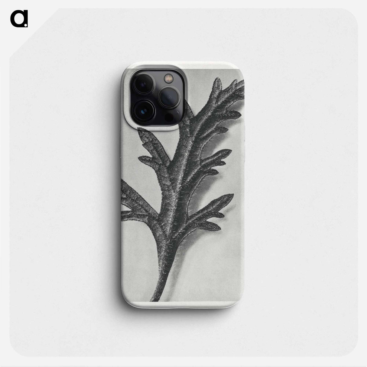 Verbena Canadensis - カール ブロスフェルト Phone Case.