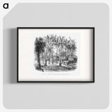 2-6_Les-Palmiers-Histoire-Iconographique_blk