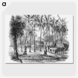 2-6_Les-Palmiers-Histoire-Iconographique_picture-crop