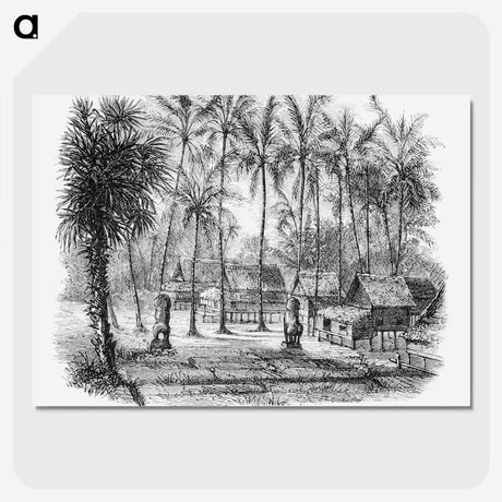 2-6_Les-Palmiers-Histoire-Iconographique_picture-crop