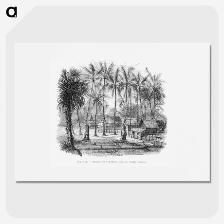 2-6_Les-Palmiers-Histoire-Iconographique_picture