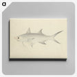 2-6_Luigi-Balugani_canvas