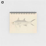 Binney: Number One (A Fish)
 - ルイージ バルガーニ Memo.