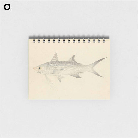 アートメモ帳-Binney: Number One (A Fish)
 - ルイージ バルガーニ Memo.