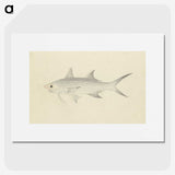 2-6_Luigi-Balugani_picture
