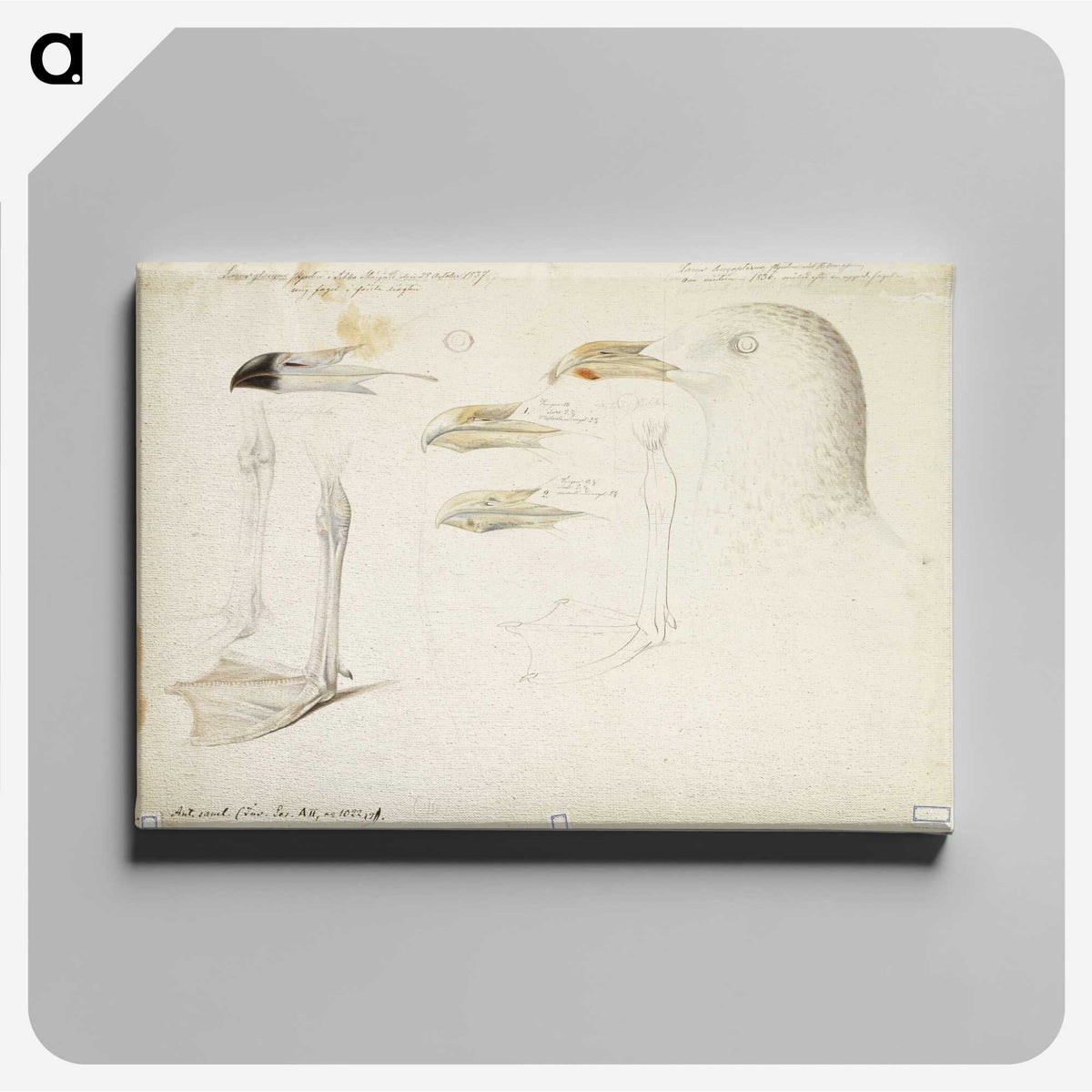 2-6_Magnus-von-Wright_canvas