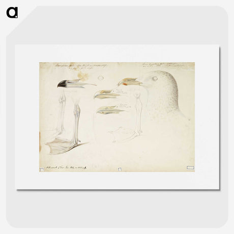 2-6_Magnus-von-Wright_picture