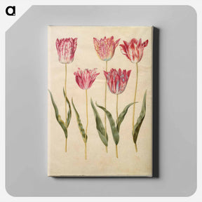アートパネル-Tulipa gesneriana
 - マリア ジビーラ メーリアン Canvas.