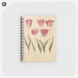 アートメモ帳-Tulipa gesneriana
 - マリア ジビーラ メーリアン Memo.