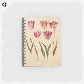 アートメモ帳-Tulipa gesneriana
 - マリア ジビーラ メーリアン Memo.
