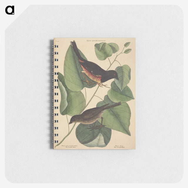 2-6_Mark-Catesby_memo