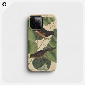 2-6_Mark-Catesby_phone