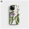 2-6_Mary-Vaux-Walcott_phone