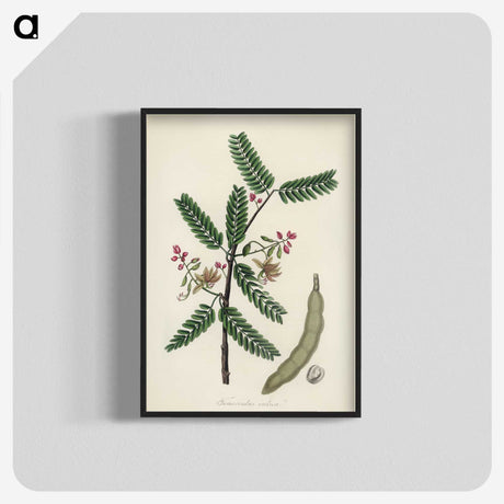 2-6_Medical-Botany_blk-crop
