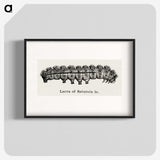 2-6_Moths-and-Butterflies-of-the-United-States_blk