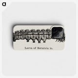 2-6_Moths-and-Butterflies-of-the-United-States_phone