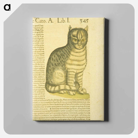 アートパネル-De cato seu fele
 - 国立医学図書館 Canvas.