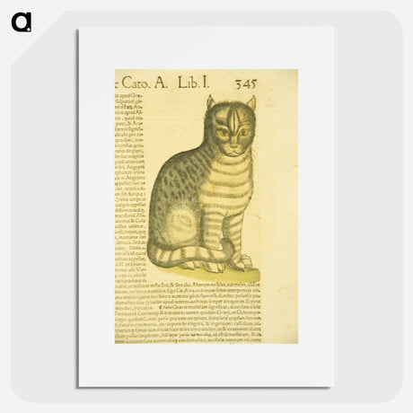 アートポスター-De cato seu fele
 - 国立医学図書館 Poster.